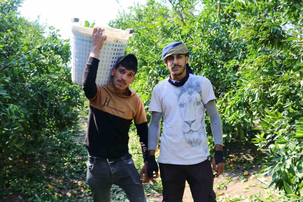 Adana'daki tüccarlar ve çiftçiler Konya'daki işçileri bekliyor