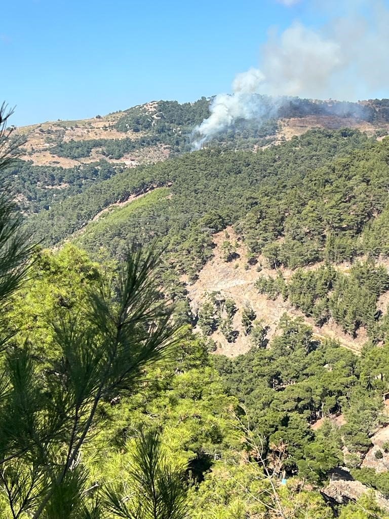 İzmir’de orman yangını! Hava ve karadan müdahale sürüyor