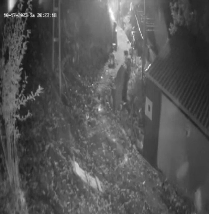 Aç kalan ayılar köy merkezine indi, köylü torpil attı