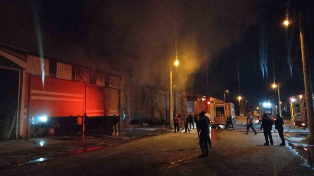 Aydın'da geceyi alevler aydınlattı