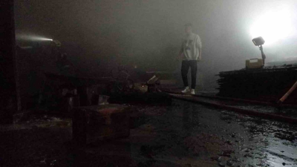 Aydın'da geceyi alevler aydınlattı