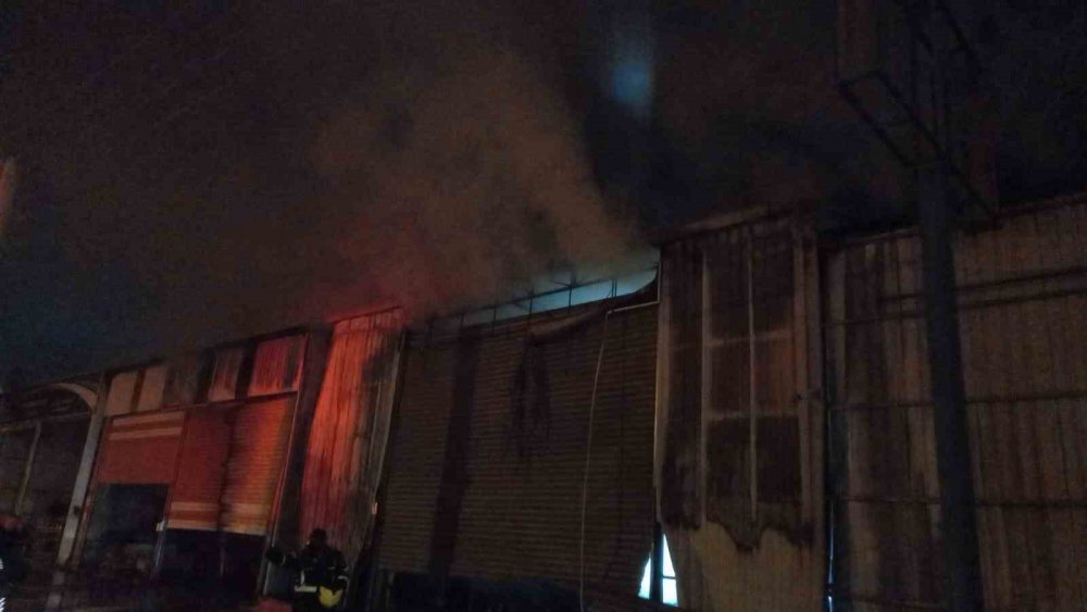 Aydın'da geceyi alevler aydınlattı