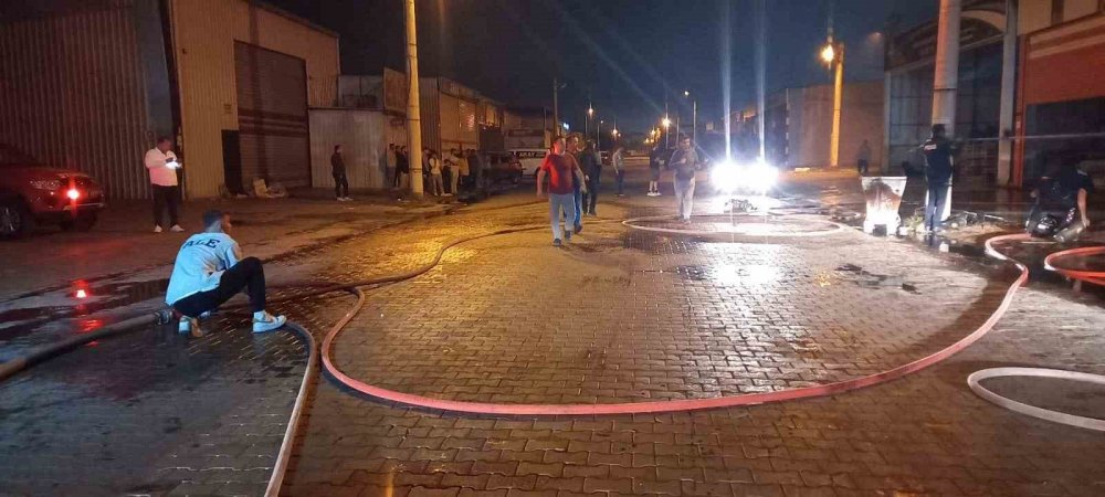 Aydın'da geceyi alevler aydınlattı