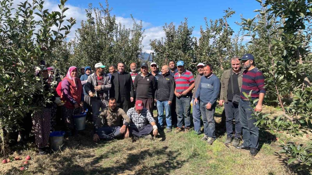Konya'da elma üretimi ile adını duyuran Gölyaka Mahallesi'nde hasat devam ediyor