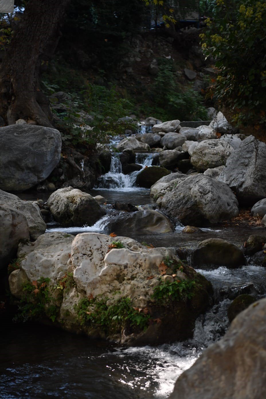 Konyaaltı'nda çirkin görüntü! 'Geyikbayırı’nı keşfedin ama kirletmeyin' tepkisi