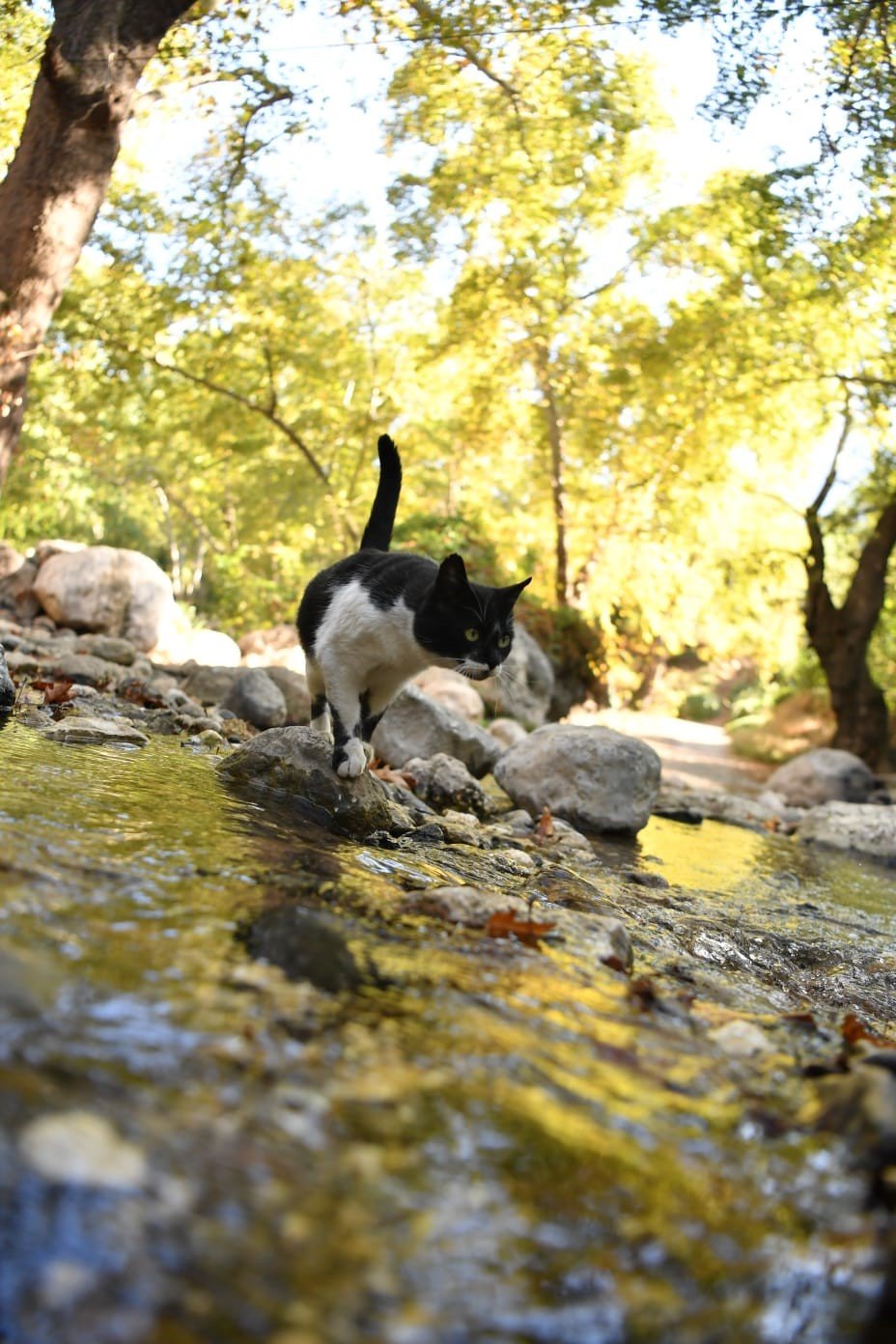 Konyaaltı'nda çirkin görüntü! 'Geyikbayırı’nı keşfedin ama kirletmeyin' tepkisi