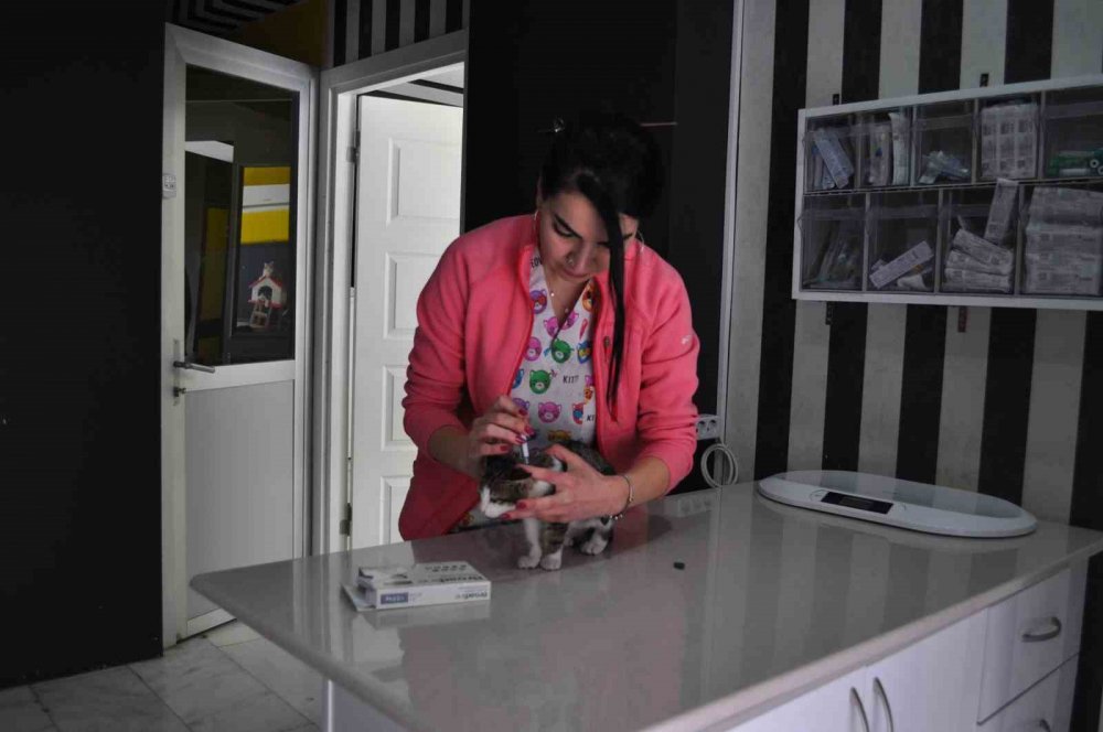 Vakalarda Artış Var: Evinde hayvan besleyenleri bekleyen 1 tehlike