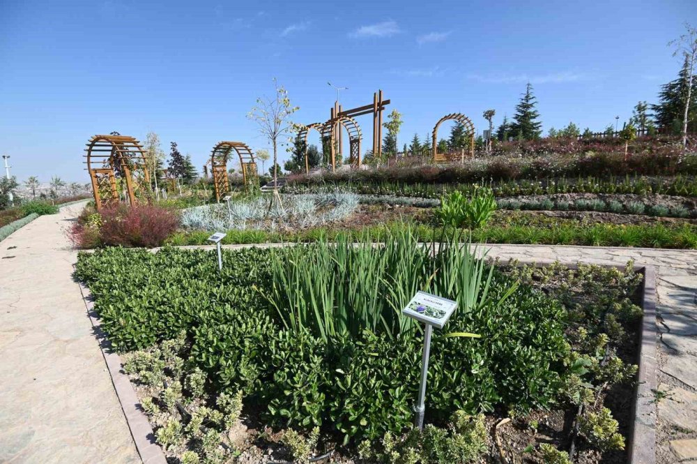 Konya'nın yeni tema parkı Koku Bahçesi ziyaretçilerini bekliyor