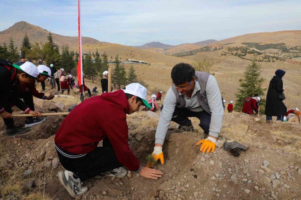 Konya'da geleceğe nefes: 31 ilçede 65 bin fidan toprakla buluştu