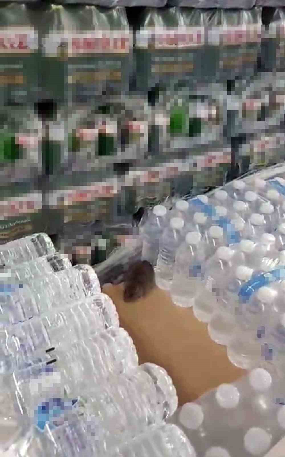 BİM’de fare skandalı