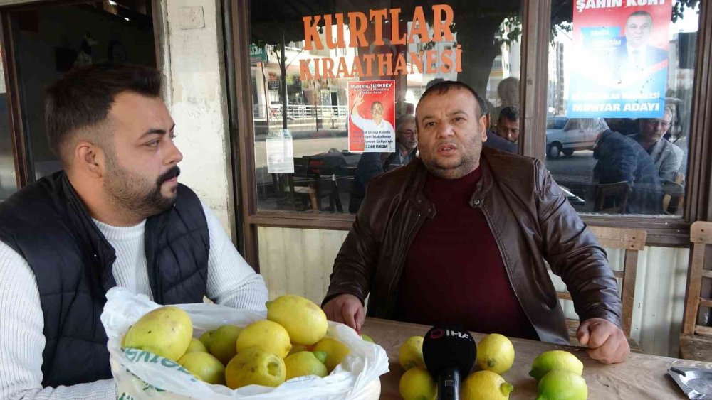 Dere yatağına dökülen tonlarca limonu mahalle mahalle gezerek dağıttı