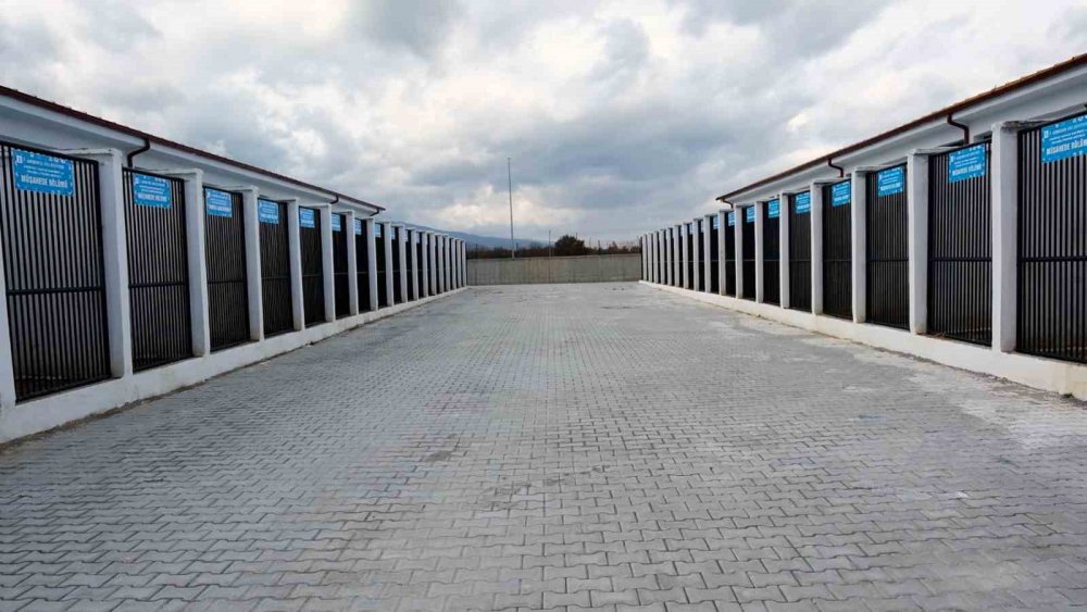 Akşehir Belediyesi'nden sahipsiz hayvanlar için dev merkez