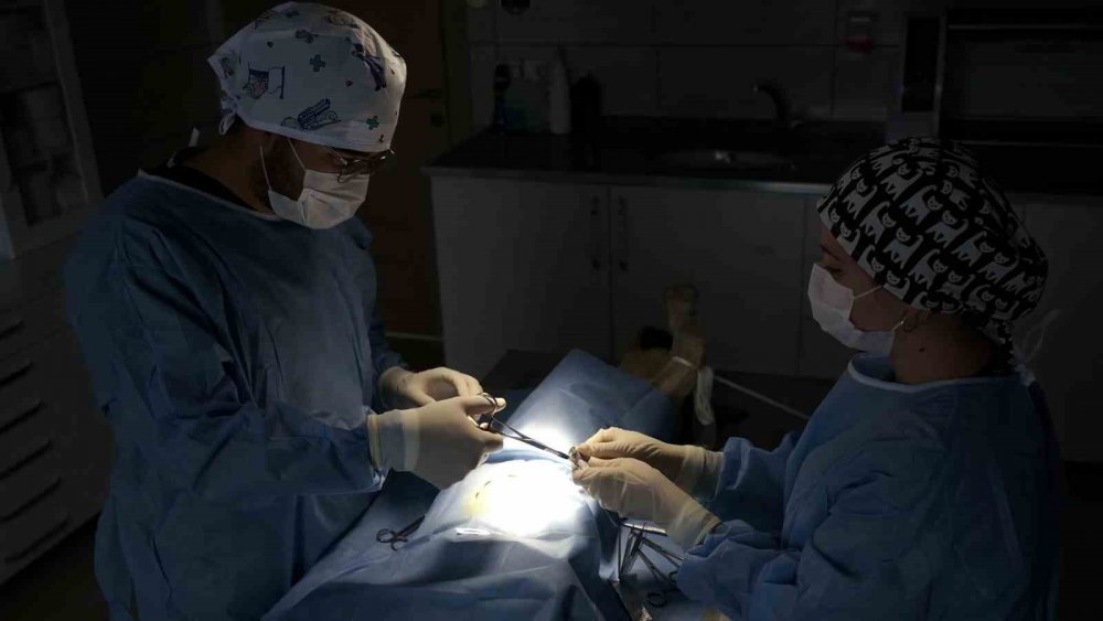 Akşehir Belediyesi'nden sahipsiz hayvanlar için dev merkez