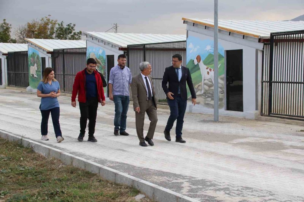 Akşehir Belediyesi'nden sahipsiz hayvanlar için dev merkez