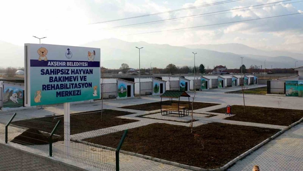 Akşehir Belediyesi'nden sahipsiz hayvanlar için dev merkez