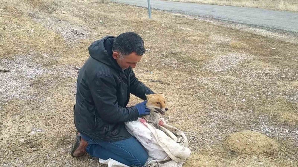 Kaybettiği tavuklara rağmen doğaya sevgisini gösterdi