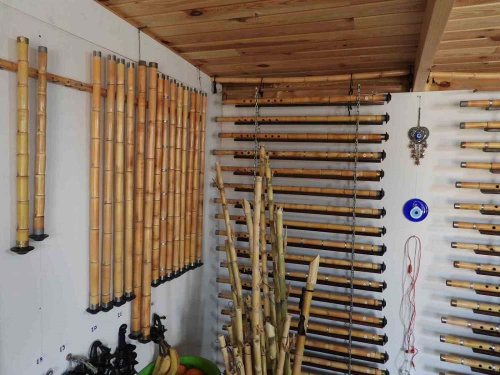 Bu kamış ney olunca 30 bin lira ediyor