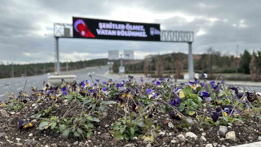 Ankara’daki ekranlara 'Şehitler Ölmez Vatan Bölünmez' yazıları yansıtıldı