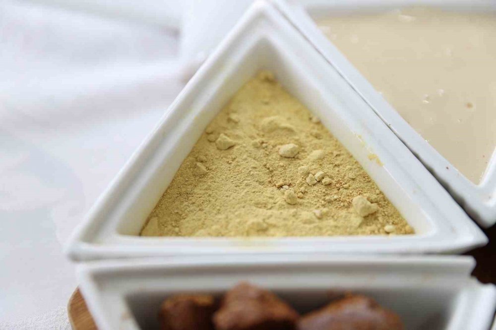 Organik ham propolis özütü tozu Türkiye’de ilk kez Sivas’ta üretildi