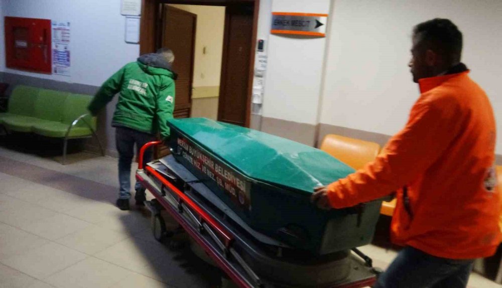 Erdemli'de kesilen ağacın altında kalan Musa Alakaya hayatını kaybetti