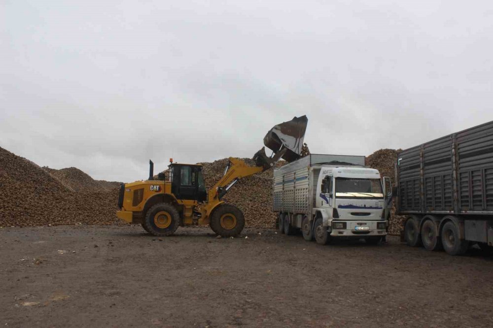 Şeker Pancarı Kış Mevsimine Rağmen Fabrikalara Yolculuğunu Sürdürüyor