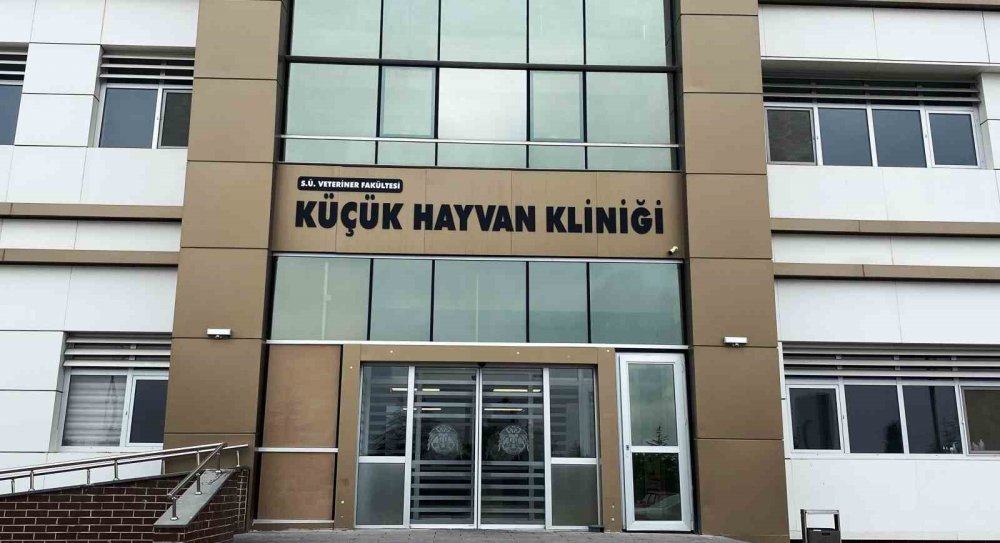 Selçuk Veterinerliğin hayvan hastanesi Türkiye'nin gözdesi oldu
