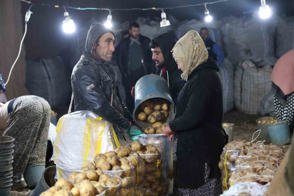 Kapadokya'nın Doğal Soğuk Hava Depoları Türkiye'nin Patates İhtiyacını Karşılıyor