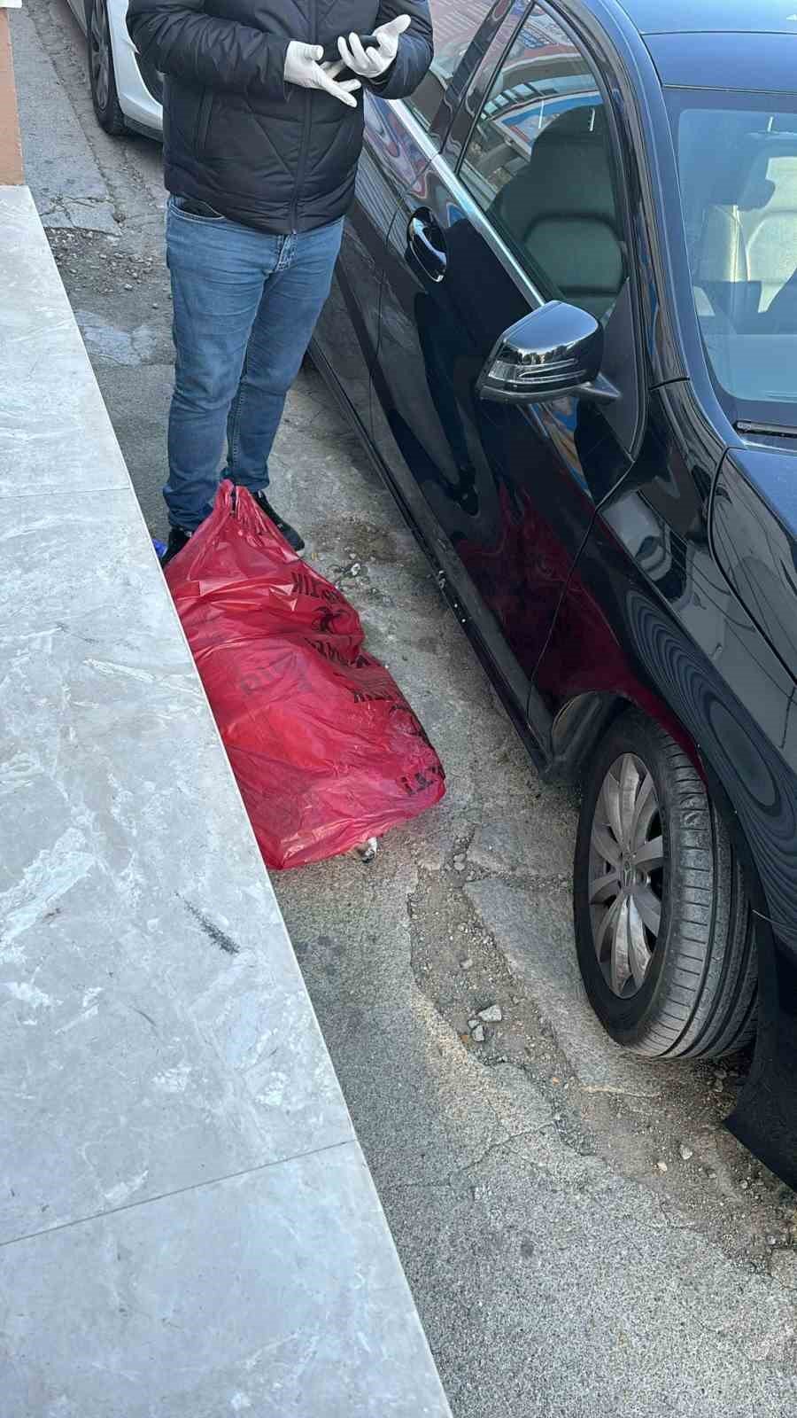 İzmir bu olayı konuşuyor! Köpekler tehlikede mi?