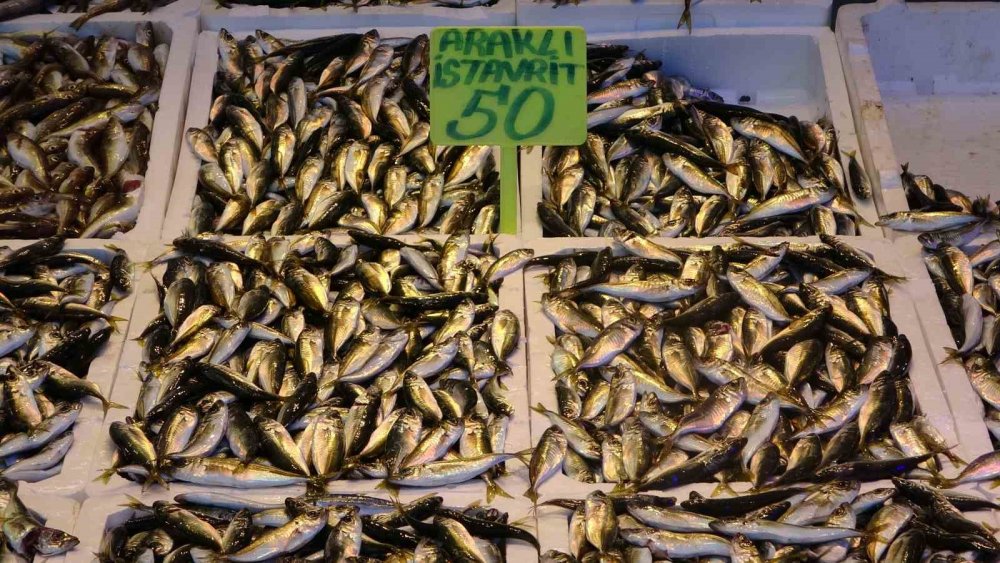 Hamsi, yasak başlamadan sezonu kapattı