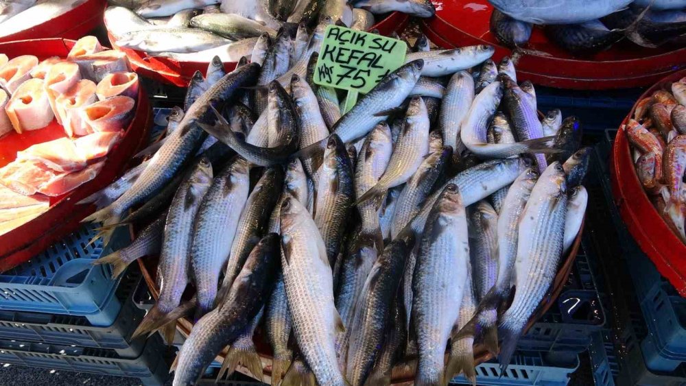 Hamsi, yasak başlamadan sezonu kapattı