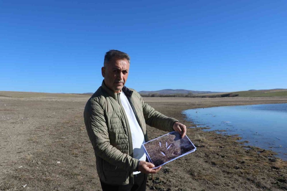 Sivas'ta Biyogaz Tesisi Atığıyla Yapıaltın Barajı Tehlikede!