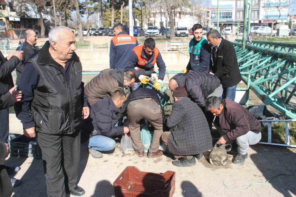 Beyşehir Gölü’nden kanala dökülen balıkları toplamak için birbirleriyle yarıştılar