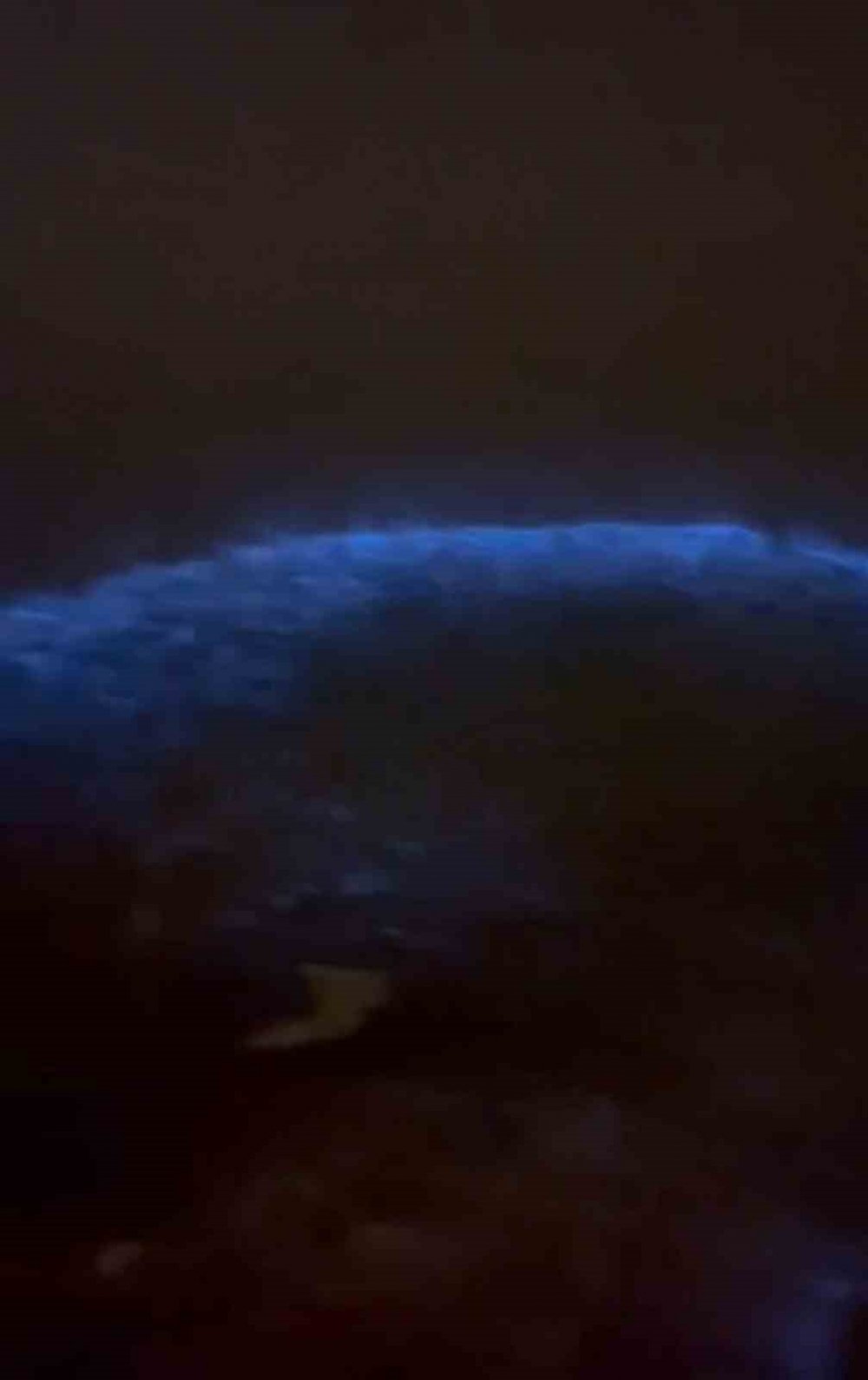 Marmara Denizi fosforlu mavi oldu