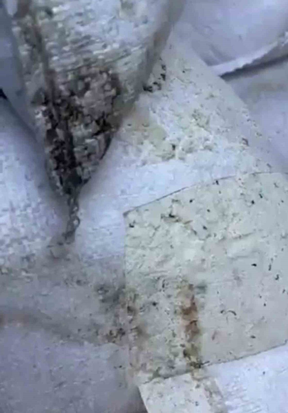 Skandal görüntülere imza atan Oba Makarna’dan açıklama