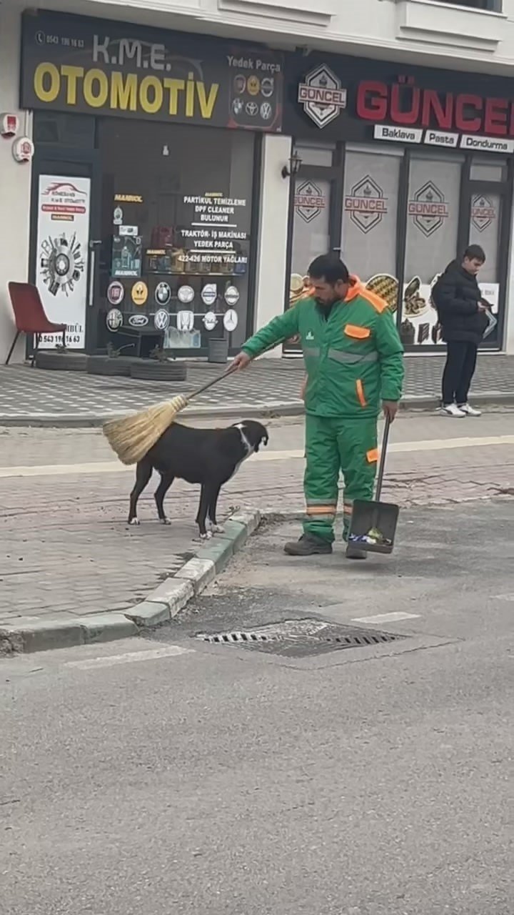 Temizlik görevlisi, sokak köpeğini de süpürdü