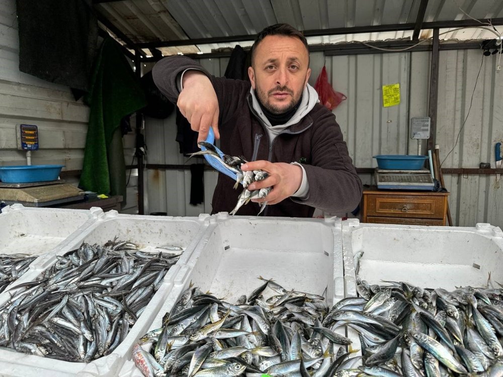 Balık tezgâhları son kez şenlendi