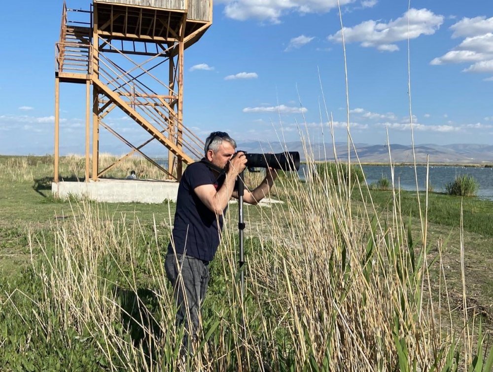 Konya'nın doğa harikası Akgöl flamingoları ağırlıyor