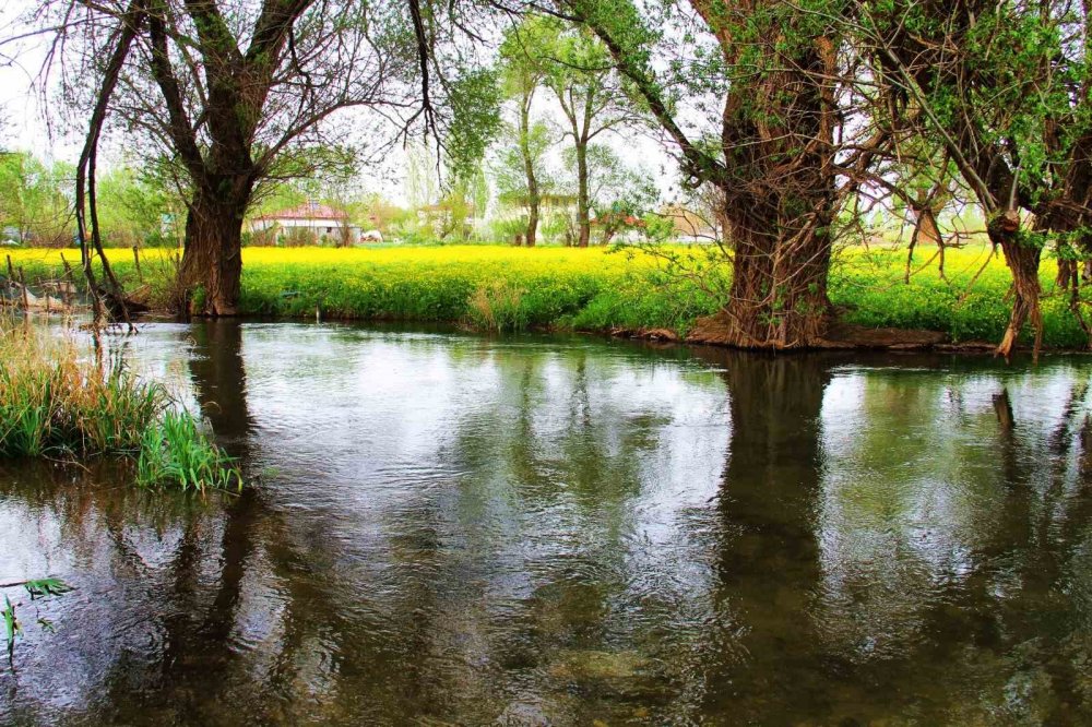 Mağaragözü Çayı: Kartpostal gibi manzara