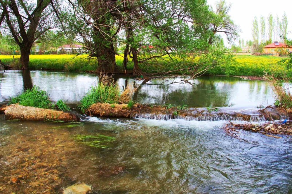 Mağaragözü Çayı: Kartpostal gibi manzara