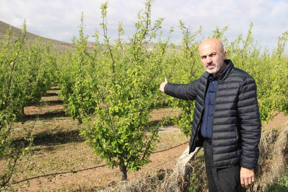 Şiddetli yağış 100 bin dekar ekili alana zarar verdi