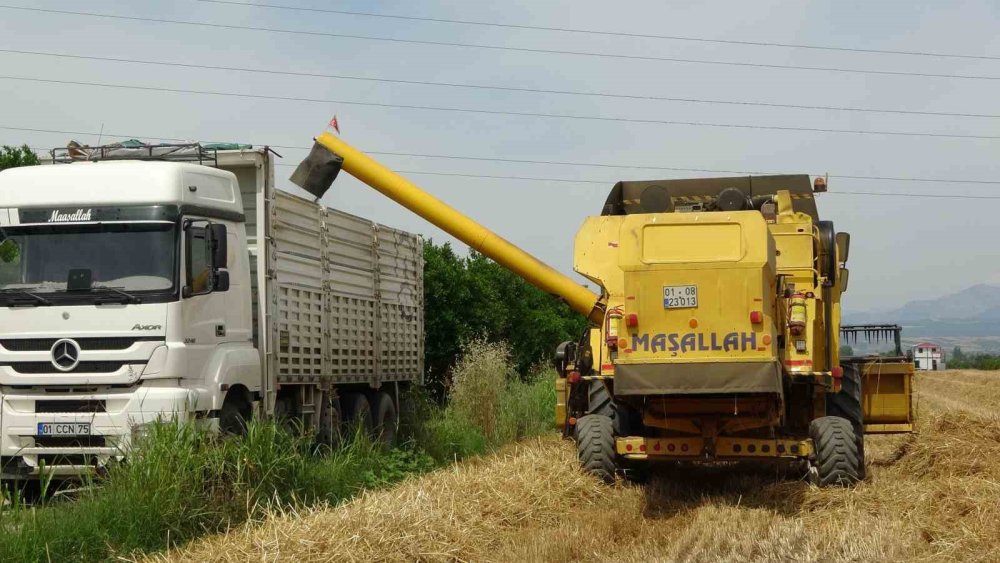 Kozan'da Yüksek Rekolte Çiftçileri Sevindirdi