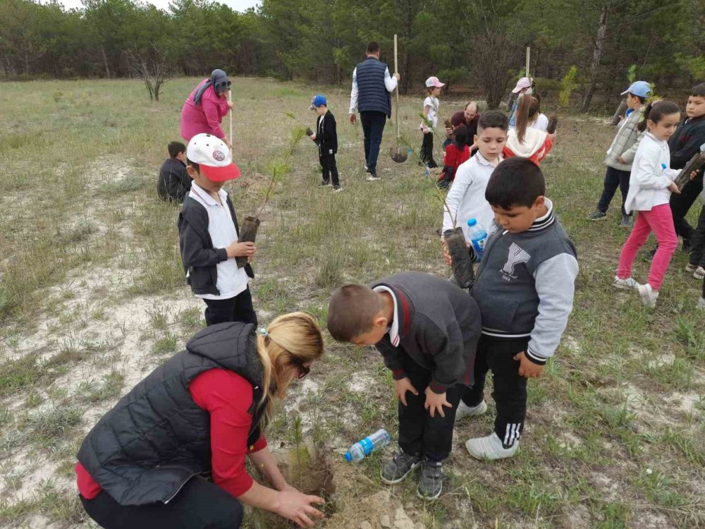 Obruklarla anılan ilçede ilkokul öğrencileri fidan dikti
