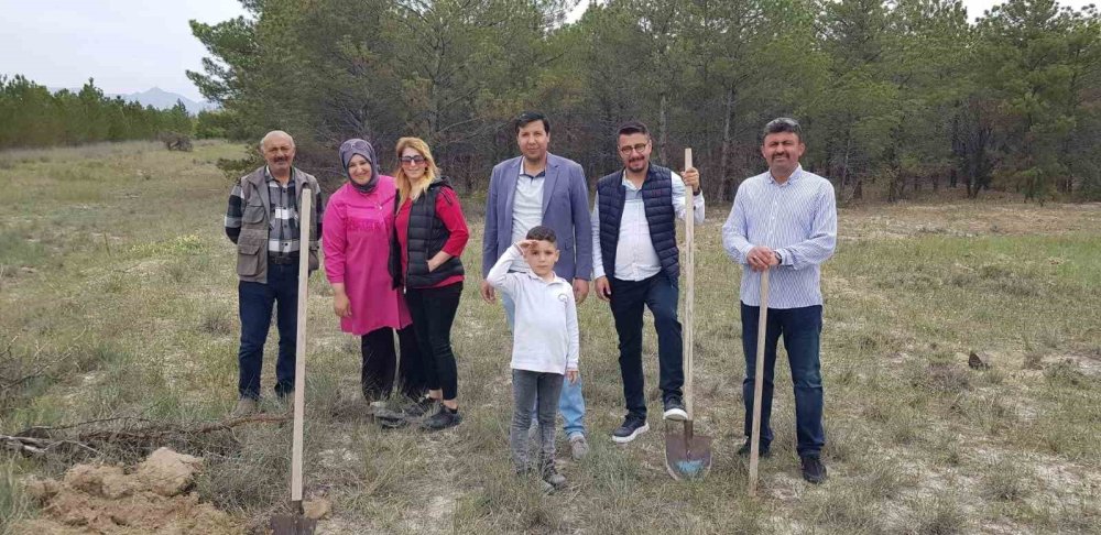 Obruklarla anılan ilçede ilkokul öğrencileri fidan dikti