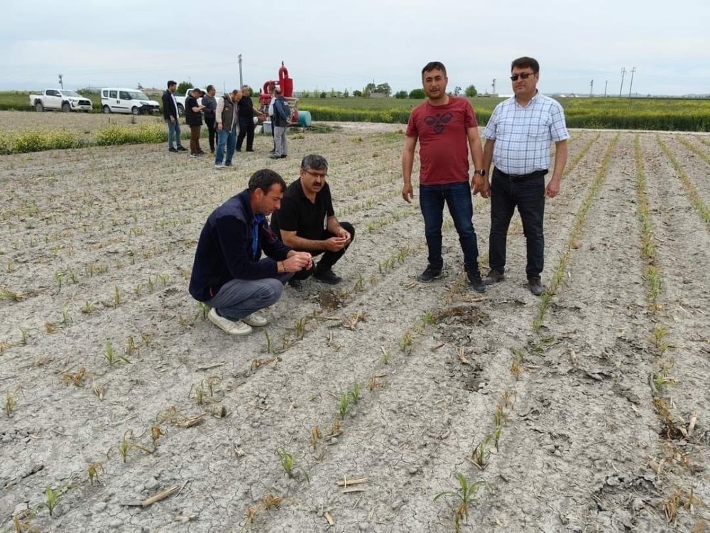 Dolu ve soğuk hava Konya'nın tarım alanlarına ne kadar zarar verdi?
