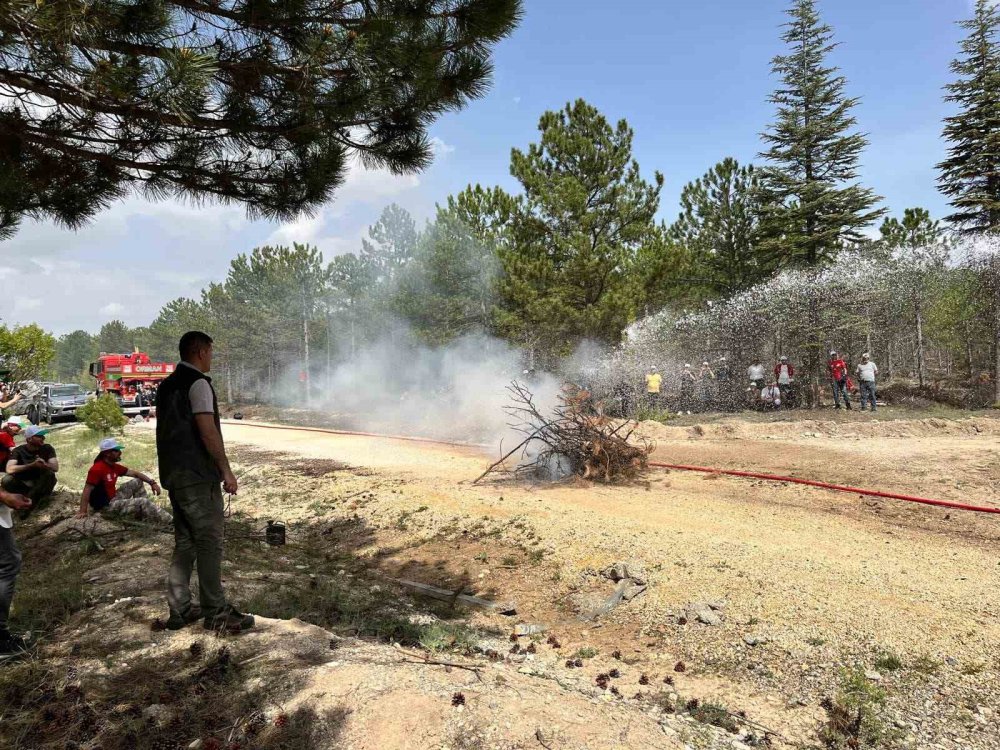 Konya'da Orman Gönüllüsü Öğretmenlere Orman Yangın Eğitimi Verildi