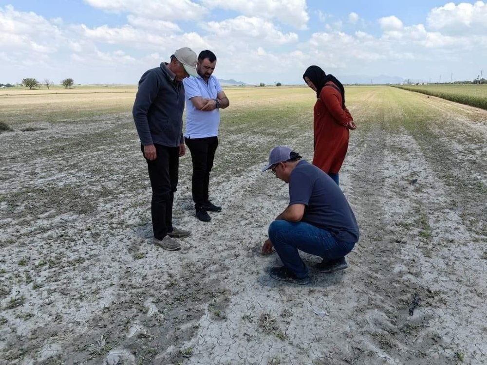 Konya Ovası'nda durum vahim: Kapsamlı rapor hazırlanıyor