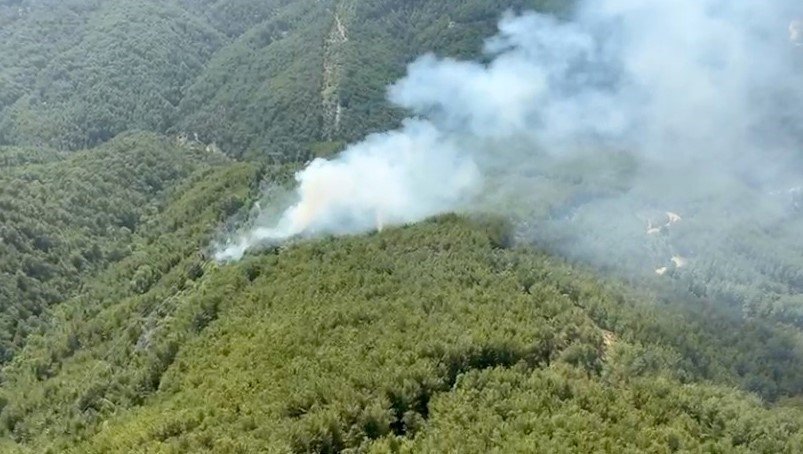 Antalya’dan korkutan haber: Ormanda yangın