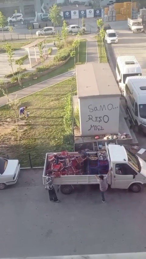 Yok böyle israf: Kasa kasa çileği çöpe döktü