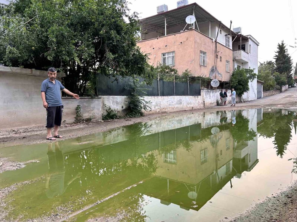 Yeşil su merak uyandırdı