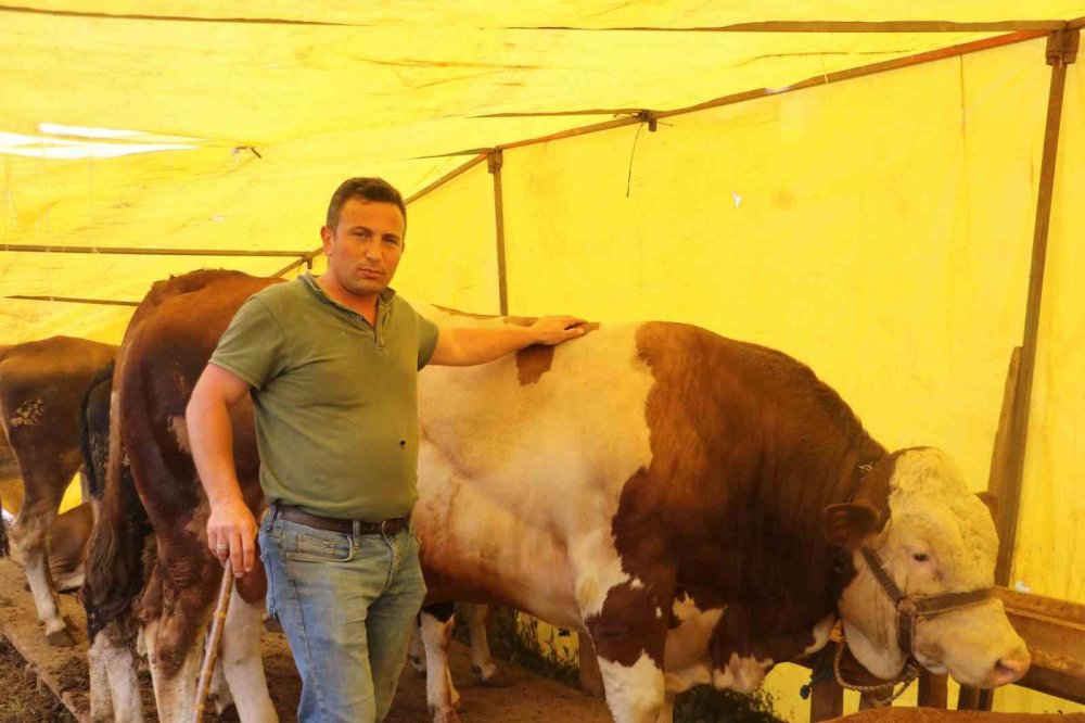 Kurban Bağışı Satışları Düşürdü